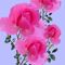 Profile Picture of Gayathri (@Gayathri) on Facebook