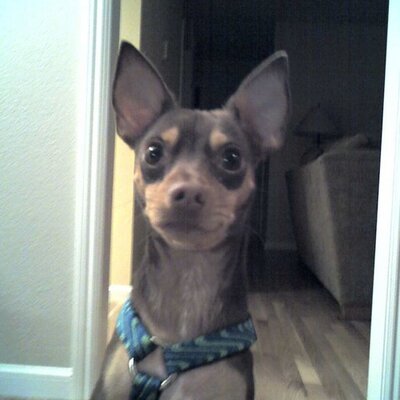 Profile Picture of Cathy Curry (@CurrysTwit) on Twitter