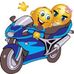 Profile Picture of Susan Pitcher (@susan.pitcher.52) on Facebook