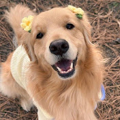 Profile Picture of Xiao Man (@Xiao-Man) on Youtube