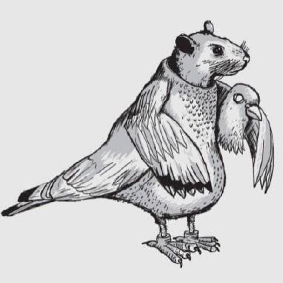 Profile Picture of Lauryn Pleva (@pleval) on Poshmark