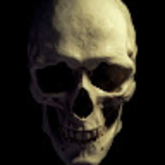 Profile Picture of Brian Orren (@orrenbrian24) on Poshmark