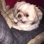 Profile Picture of Pamela Scutt (@pamela.scutt.79) on Facebook