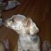 Profile Picture of Mark Kazimer (@mark.kazimer.1) on Facebook