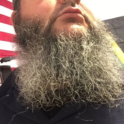 Profile Picture of The EdTech Beard (@EdTechBeard) on Twitter