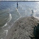 Profile Picture of Lucinda Stephenson (@cindy4062) on Myspace