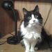 Profile Picture of Christy Brackett (@christy0802) on Pinterest