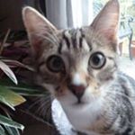 Profile Picture of Jacqueline Lambert (@jacq54guy) on Instagram