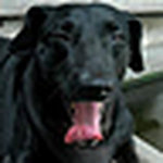 Profile Picture of Vorasith Sornsrivichai (@vorasith) on Flickr