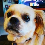 Profile Picture of dawn chaplin (@chaplindawn) on Instagram