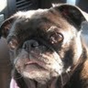 Profile Picture of Jeff Dabney (@jeffdabney625) on Youtube