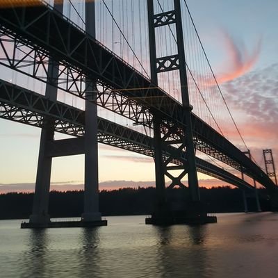 Profile Picture of David Speranza (@kinotek1) on Twitter