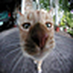 Profile Picture of Andy Gibson (@sucideg) on Flickr