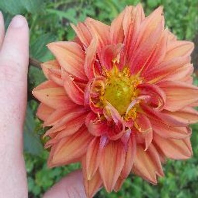 Profile Picture of Kevin Tison (@kevinjoanna3) on Twitter