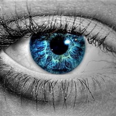 Profile Picture of Mike Gasparini (@@greatgaspi) on Twitter