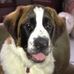 Profile Picture of Paula Hendrickson (Paula Roseberry) (@paula.hendrickson.9) on Facebook