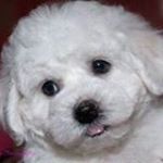 Suzanne Willett - Instagram Profile Picture of Suzanne Willett (@suzanne.willett.18) on Instagram