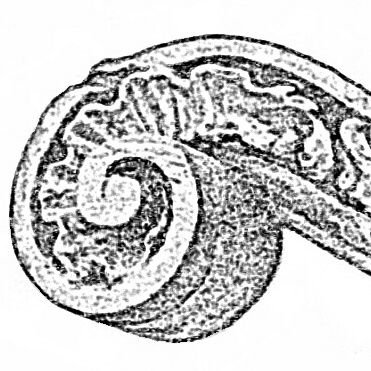 Profile Picture of Casa Jean Pineau (@CasaPineau) on Twitter