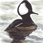 Profile Picture of Alyssa Grundmeyer Fine Art (@alyssabethfai) on Instagram