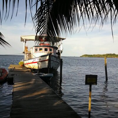 Profile Picture of Sean (@seanteehan71) on Twitter