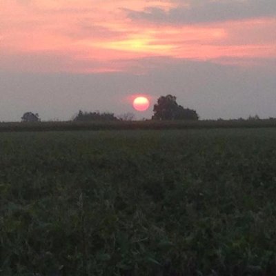 Profile Picture of Ben Stoller (@BenSStoller) on Twitter