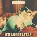 Profile Picture of Lisa Harrison (@ghostsofficememo) on Flickr