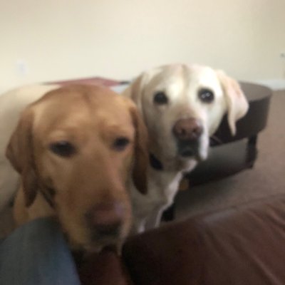 Profile Picture of Sherri Walls (@SherriWalls12) on Twitter