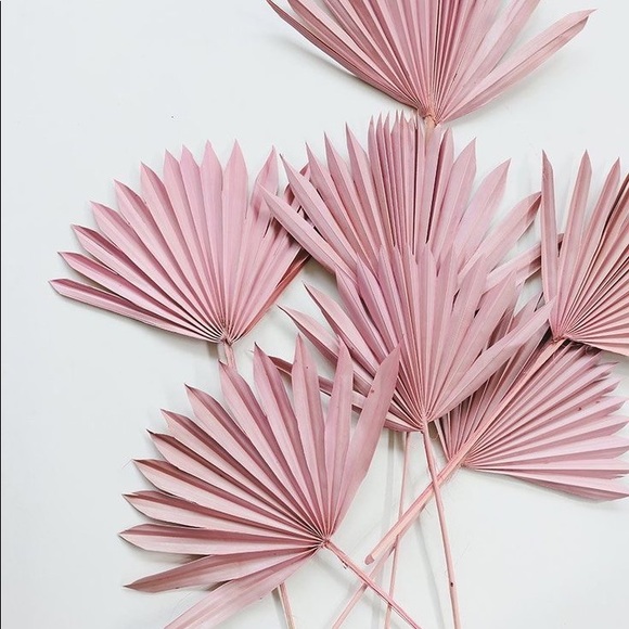 Profile Picture of Emily Eckhoff (@emeckhoff) on Poshmark