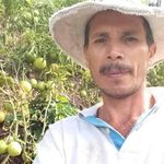 Profile Picture of Arnulfo Angulo Portugues (@arnulfoanguloport) on Instagram