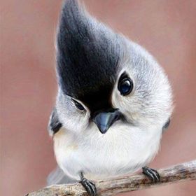 Profile Picture of Laura Browner-Stoos (@brownerstoos) on Pinterest