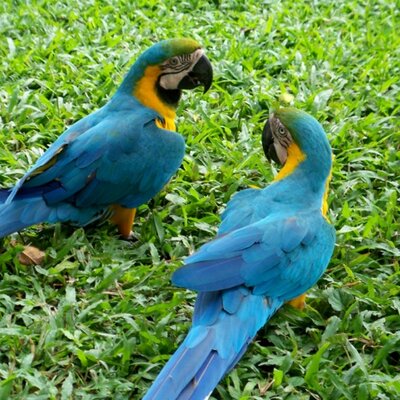 Profile Picture of Christopher Nilsson (@kitnilsson73) on Twitter