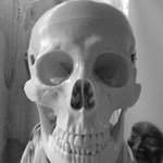 Profile Picture of Tasha Lambert (@lamberttasha) on Instagram