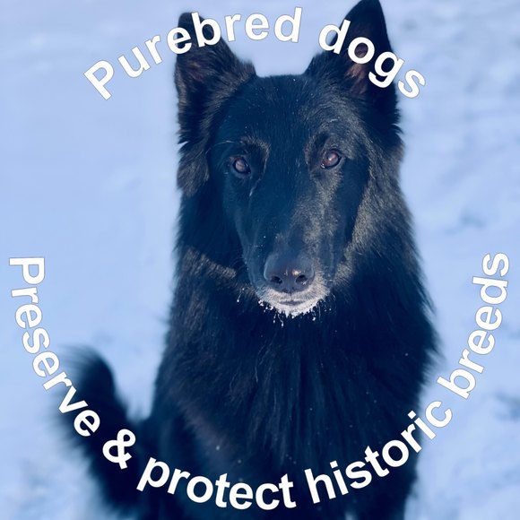 Emily Wesselman - Poshmark Profile Picture of Emily Wesselman (@cheesemcsqueeze) on Poshmark