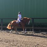 Profile Picture of Kate Deegan (@deegankate) on Instagram