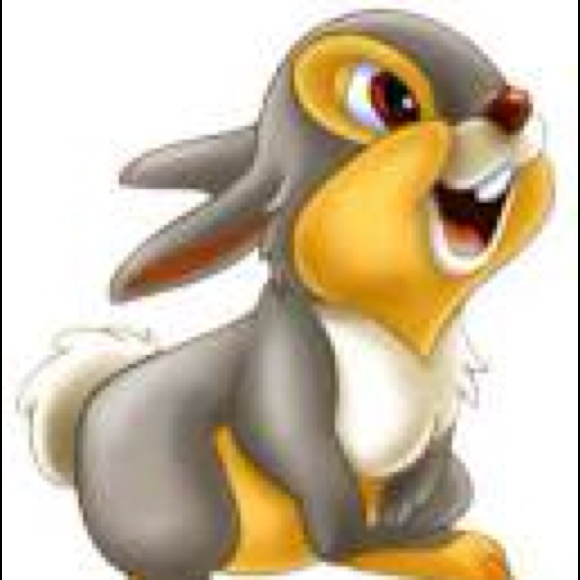 Profile Picture of Briana Valenta (@brianavalenta) on Poshmark