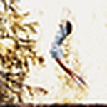 Profile Picture of {clementine.} (@{clementine.}) on Flickr