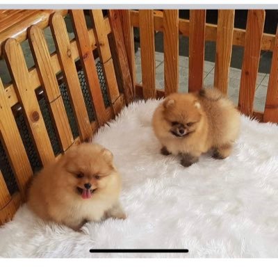 Profile Picture of Gary (@Garyviola2006) on Twitter