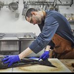 Profile Picture of Rudy Wilson (@picktorius) on Instagram