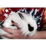 Profile Picture of 🐰🐶🐰 (@bobo.pilot.bella) on Instagram