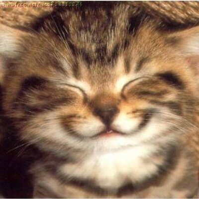 Profile Picture of Victor Hugo Perez (@victorhugopi) on Twitter