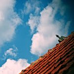 Profile Picture of Attilio Piano (@attiliopiano) on Instagram