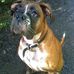 Profile Picture of Pauline Haddock (@pauline.haddock.391) on Facebook
