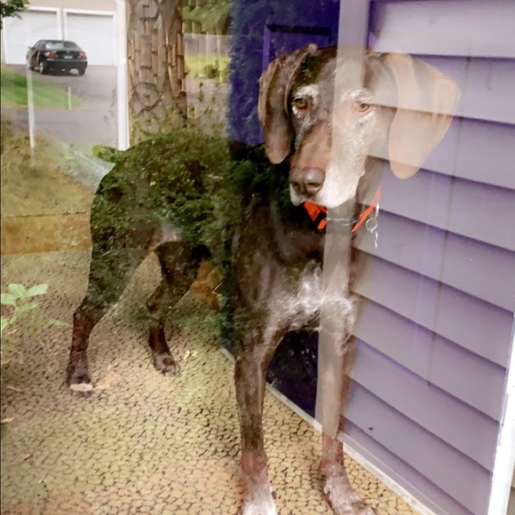 Jordan Chesek - Poshmark Profile Picture of Jordan Chesek (@jordanchesek) on Poshmark