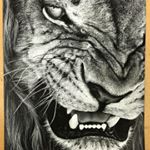 Sarah Whipple - Instagram Profile Picture of Sarah Whipple (@whip.art) on Instagram