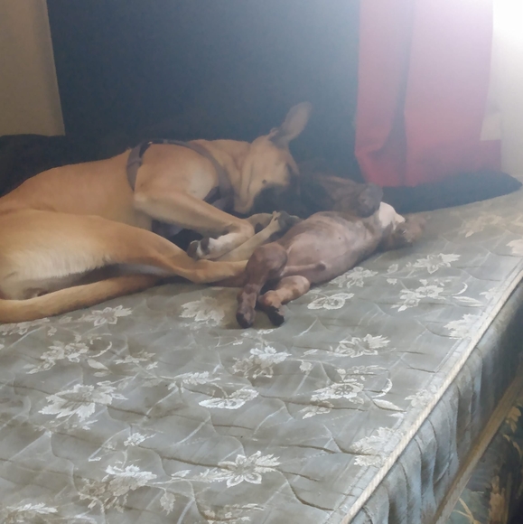 Profile Picture of Bobby Morgan (@bobbymorgan676) on Poshmark