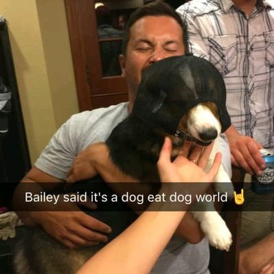 Profile Picture of Sage Bailey (@sage_bailey) on Twitter
