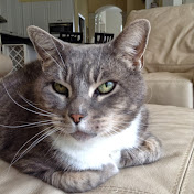 Profile Picture of Bruce Miner (@MBMiner1) on Youtube