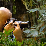 Profile Picture of Ali N. (@Ali Nasr Esfahani) on Flickr