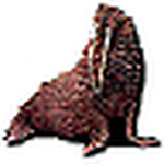 Profile Picture of Terry Wong (@wawrus) on Flickr