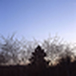 Profile Picture of David Hines (@David Hines) on Flickr